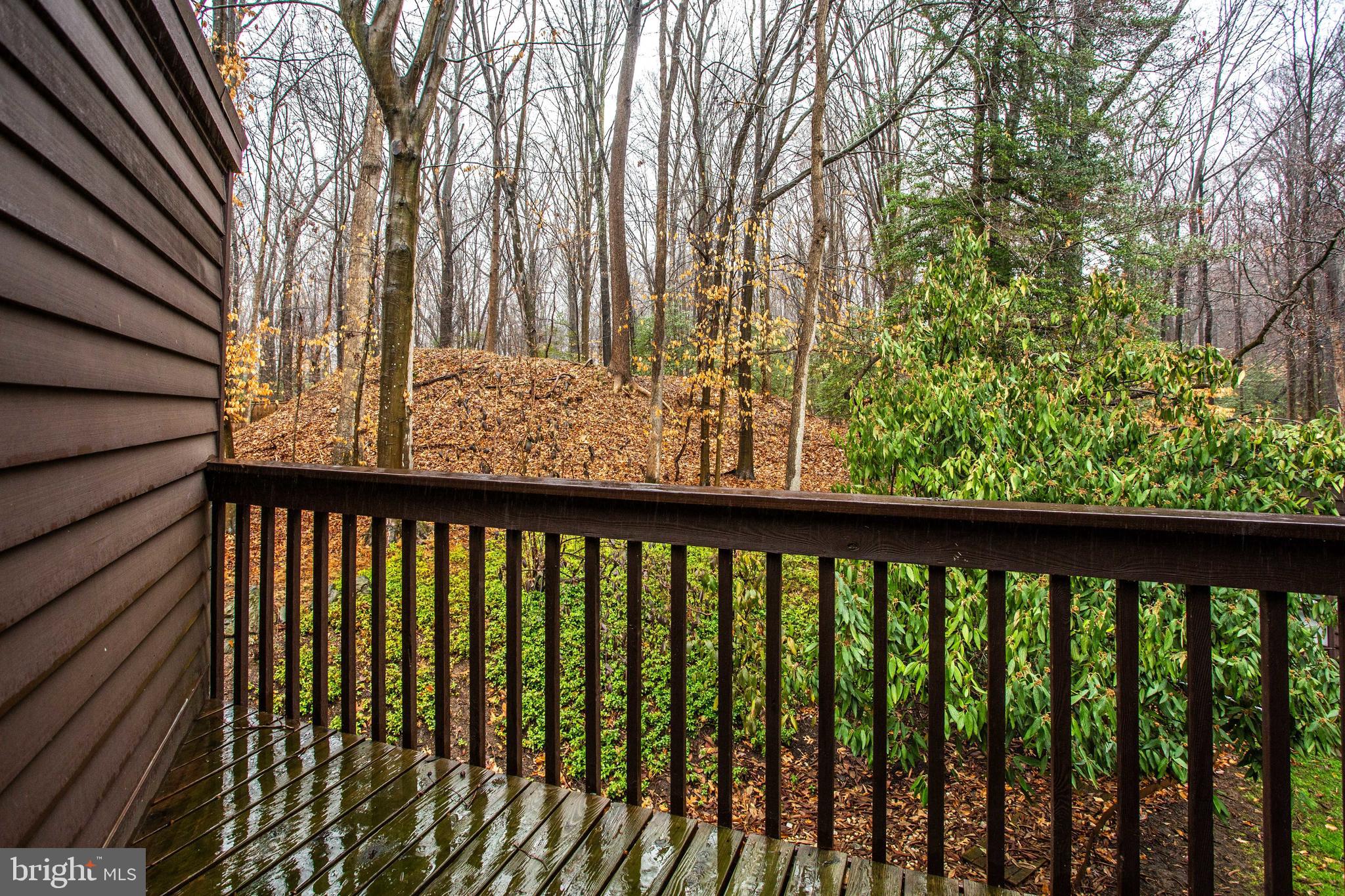 9441 Rabbit Hill Road Great Falls, VA 22066 - Photo 72 of 100