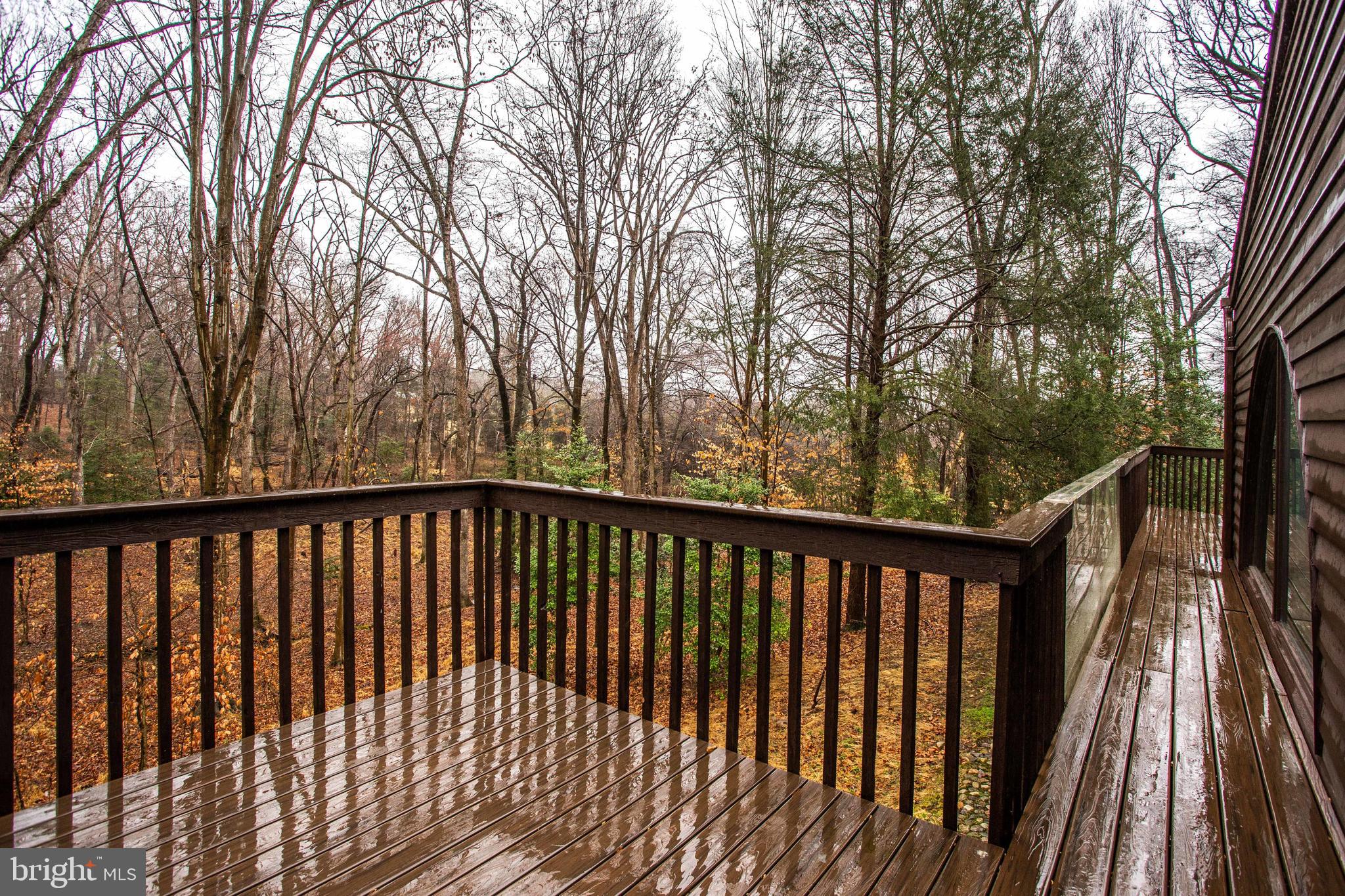 9441 Rabbit Hill Road Great Falls, VA 22066 - Photo 85 of 100