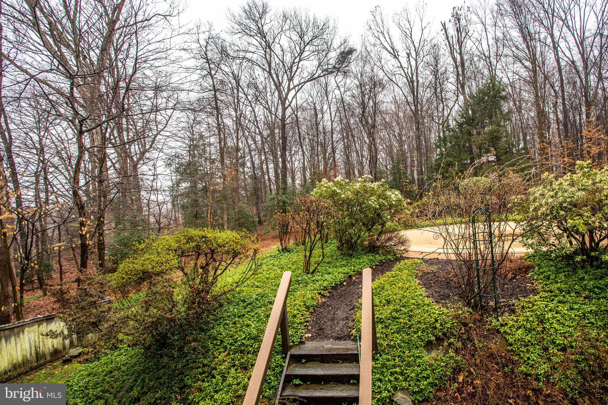 9441 Rabbit Hill Road Great Falls, VA 22066 - Photo 88 of 100