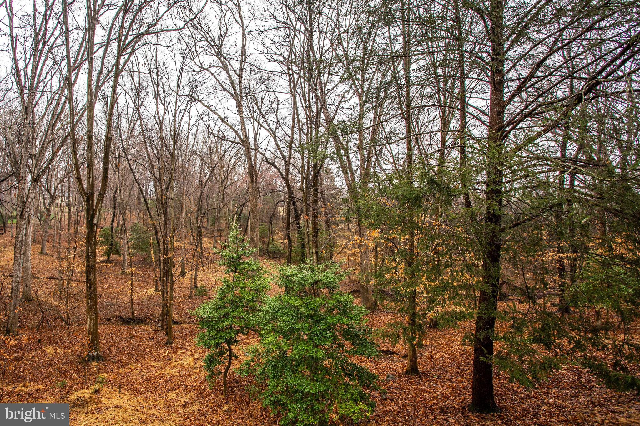 9441 Rabbit Hill Road Great Falls, VA 22066 - Photo 90 of 100