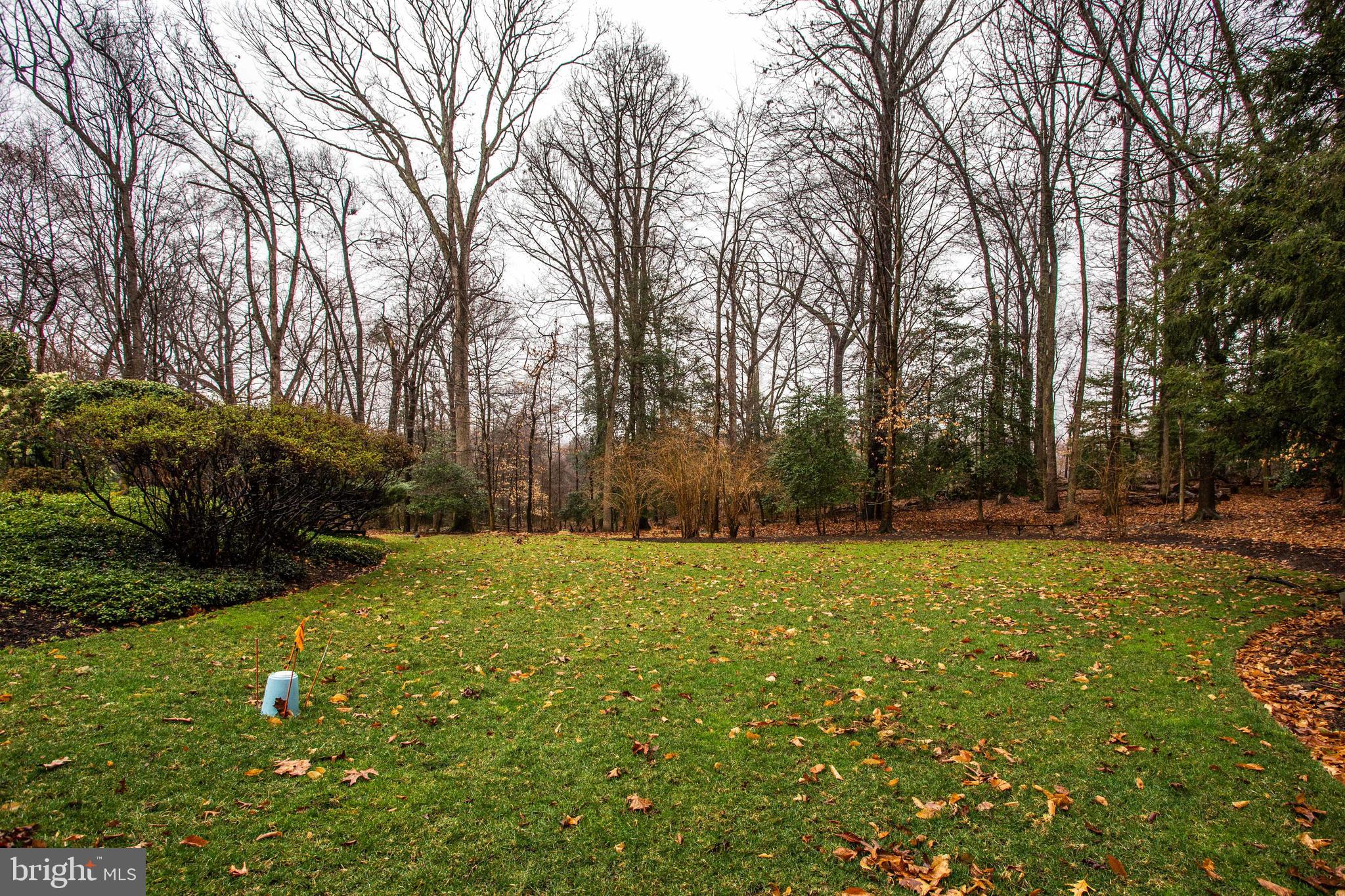 9441 Rabbit Hill Road Great Falls, VA 22066 - Photo 92 of 100