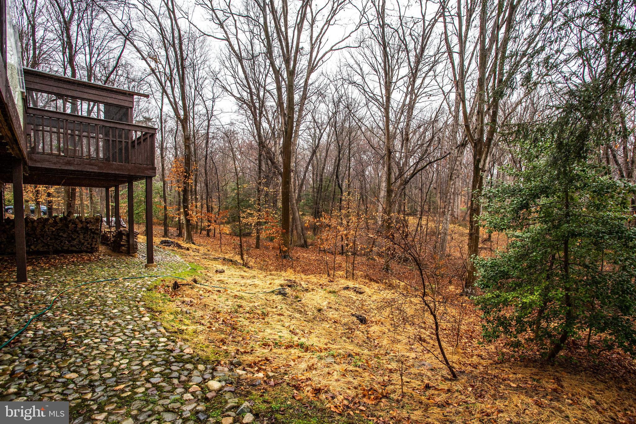 9441 Rabbit Hill Road Great Falls, VA 22066 - Photo 94 of 100