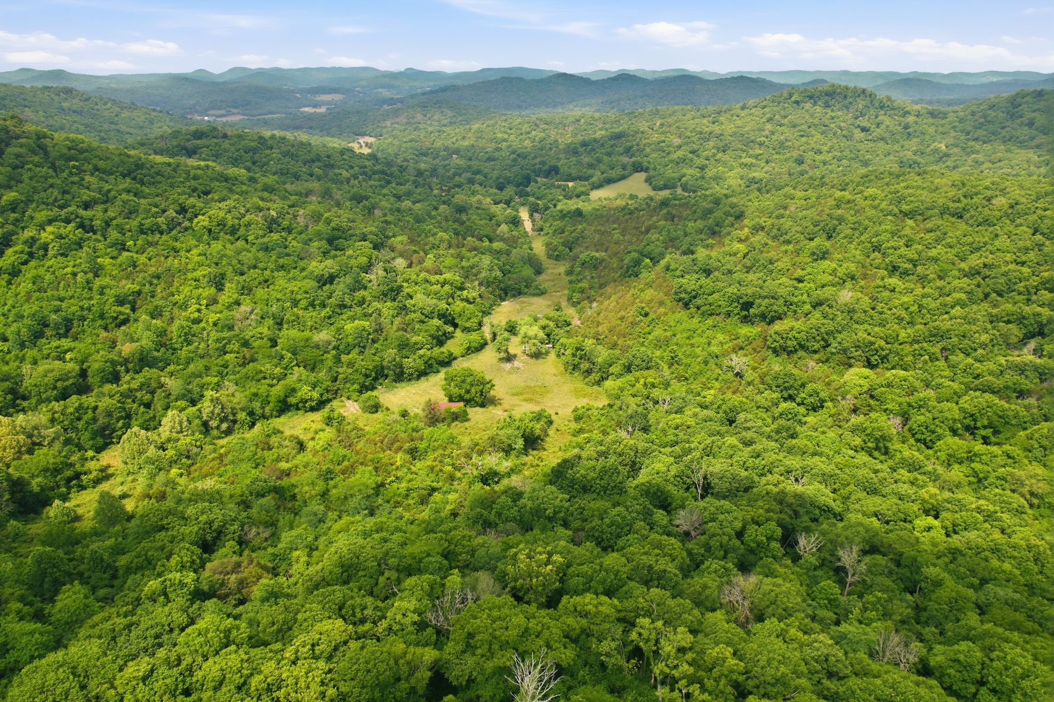 1780 Chumley Hollow Road Watertown, TN 37184 - Photo 9 of 14 a view of a lush green forest with lush green forest