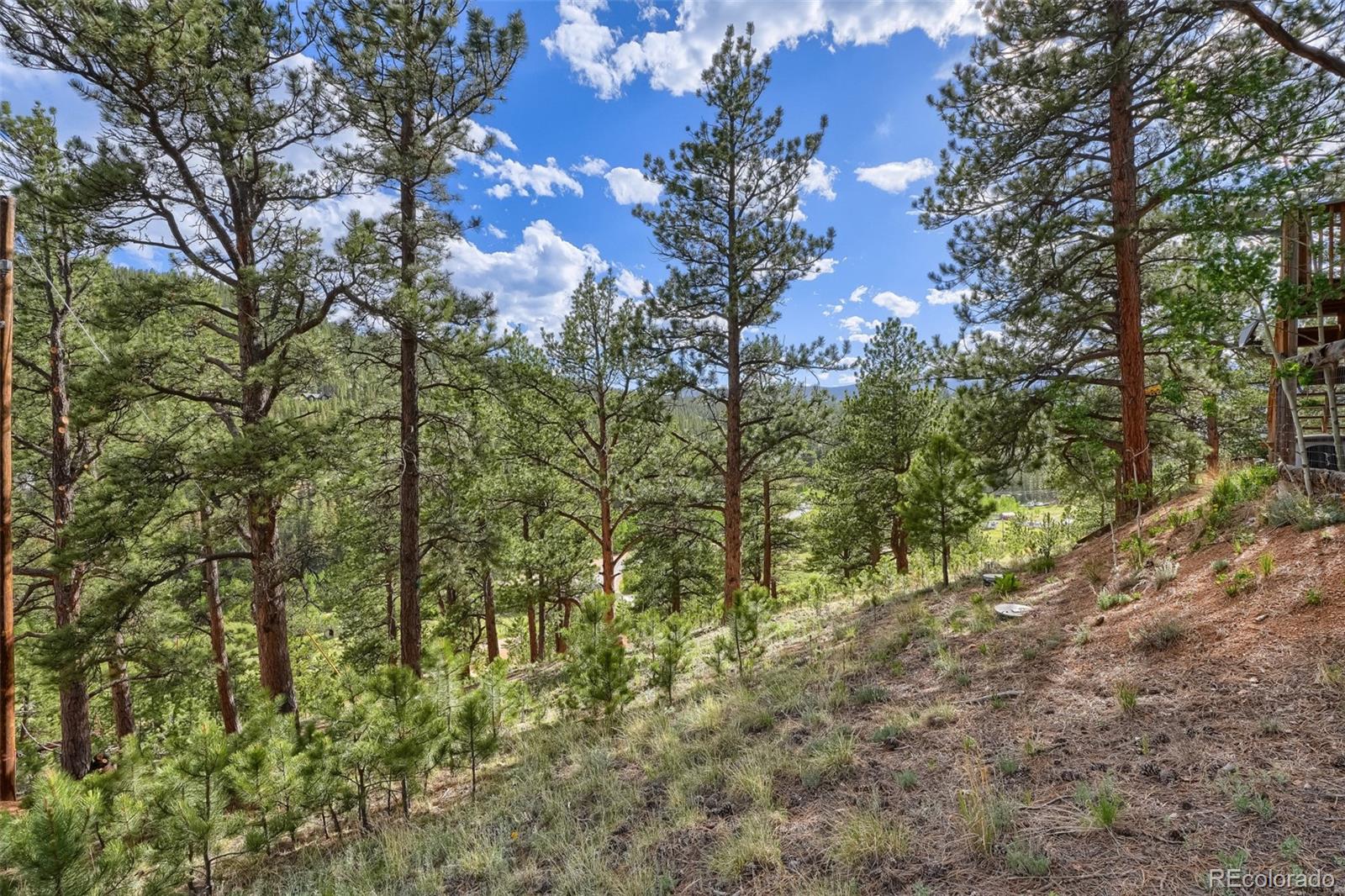 226 Hall Road Bailey, CO 80421 - Photo 31 of 39