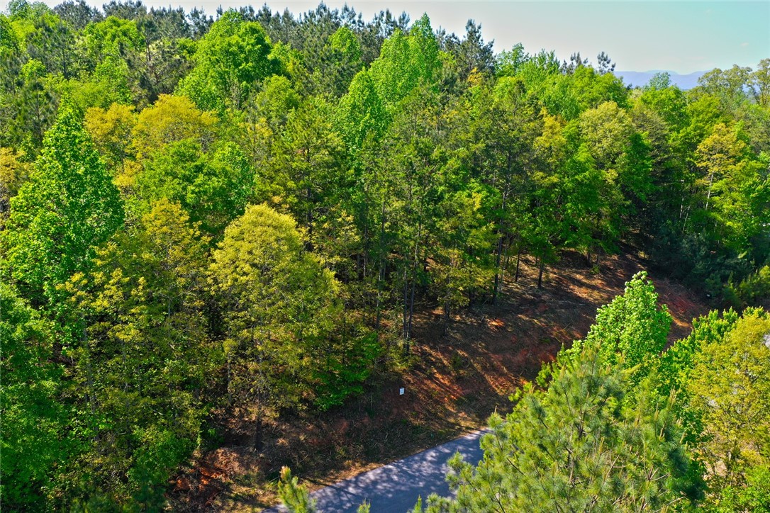 Lot 91 Harbor Point Seneca, SC 29672 - Photo 9 of 24 This scenic lot features a paved road winding through a lush, tree-filled landscape with distant mountains.