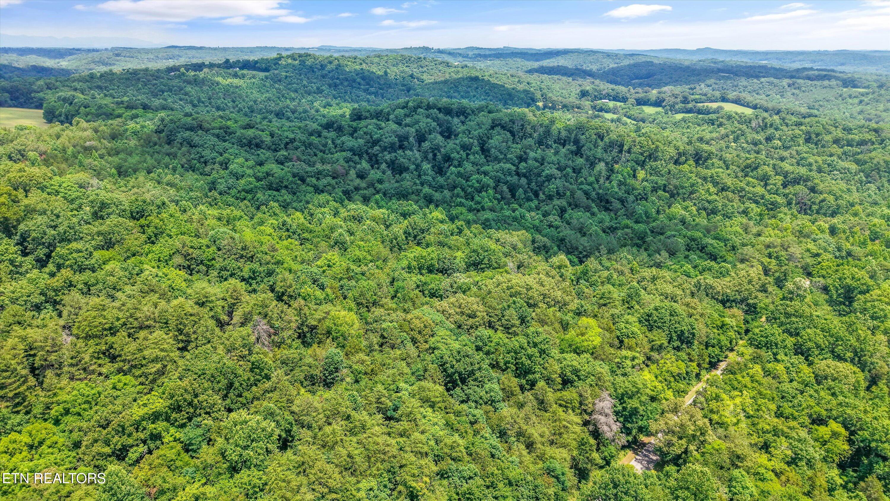 1499 Dogwood Valley Road Loudon, TN 37774 - Photo 10 of 13 08-1499 Dogwood Valley Rd 09