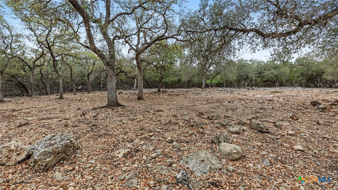 1716 Phantom Rider Trail Spring Branch, TX 78070 - Photo 37 of 43