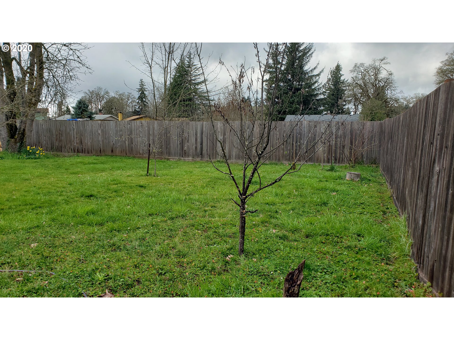 1881 Harvey Road Cottage Grove, OR 97424 - Photo 21 of 25