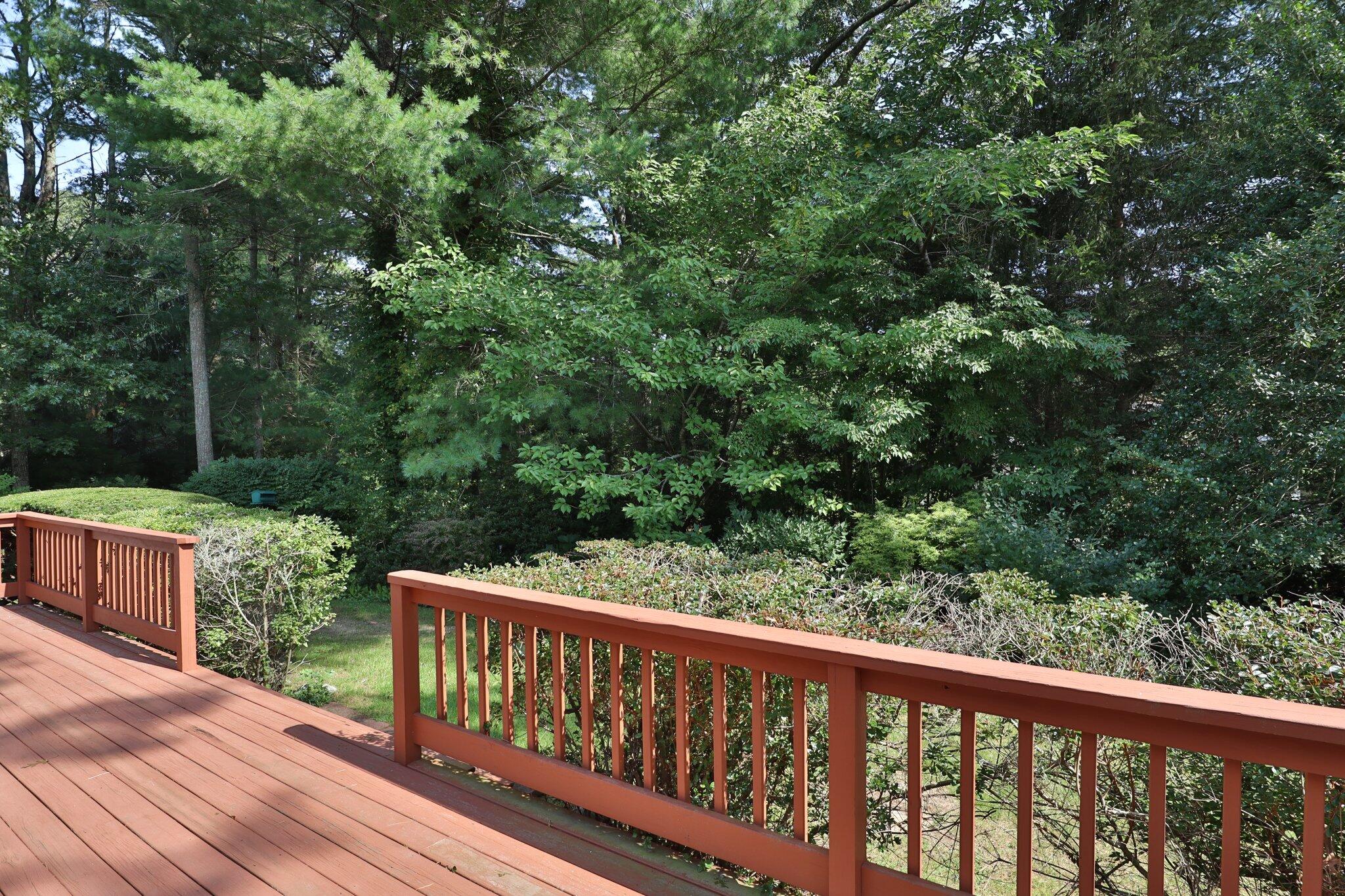 64 Eisenhower Drive Cotuit, MA 02635 - Photo 58 of 67 Private back yard