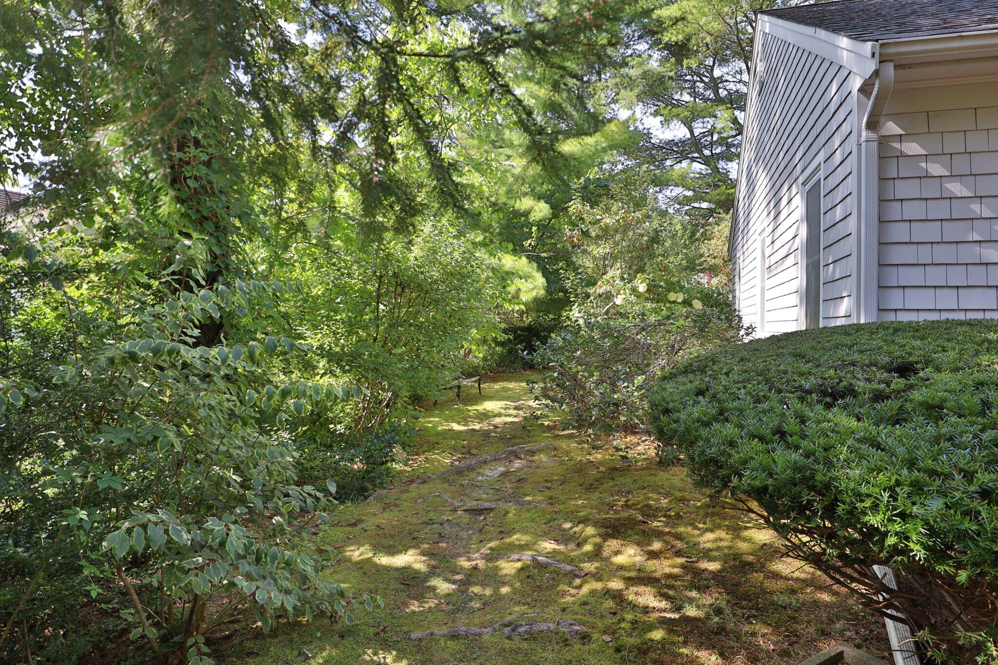 64 Eisenhower Drive Cotuit, MA 02635 - Photo 62 of 67 Side yard