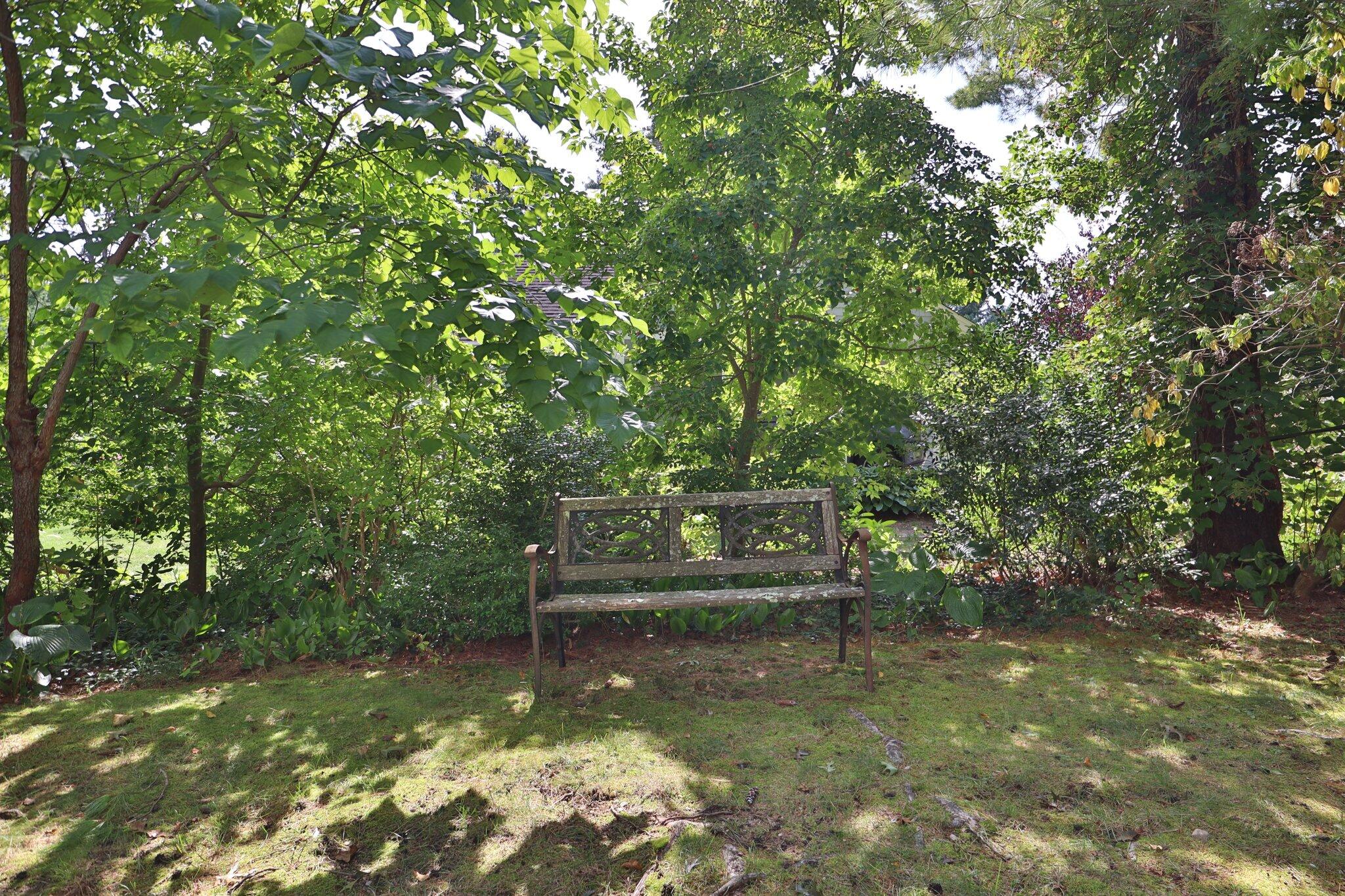 64 Eisenhower Drive Cotuit, MA 02635 - Photo 63 of 67 Yard