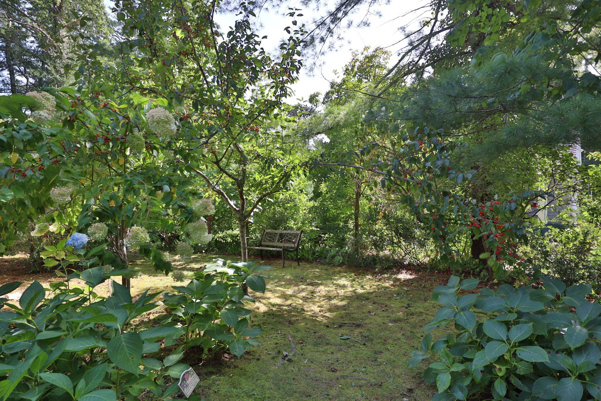 64 Eisenhower Drive Cotuit, MA 02635 - Photo 64 of 67 Yard