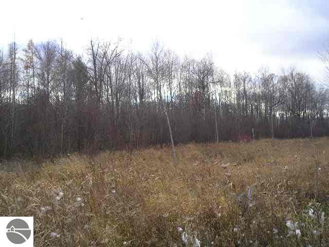 8930 Flint Road Hale, MI 48739 - Photo 1 of 6 1763568.JPG