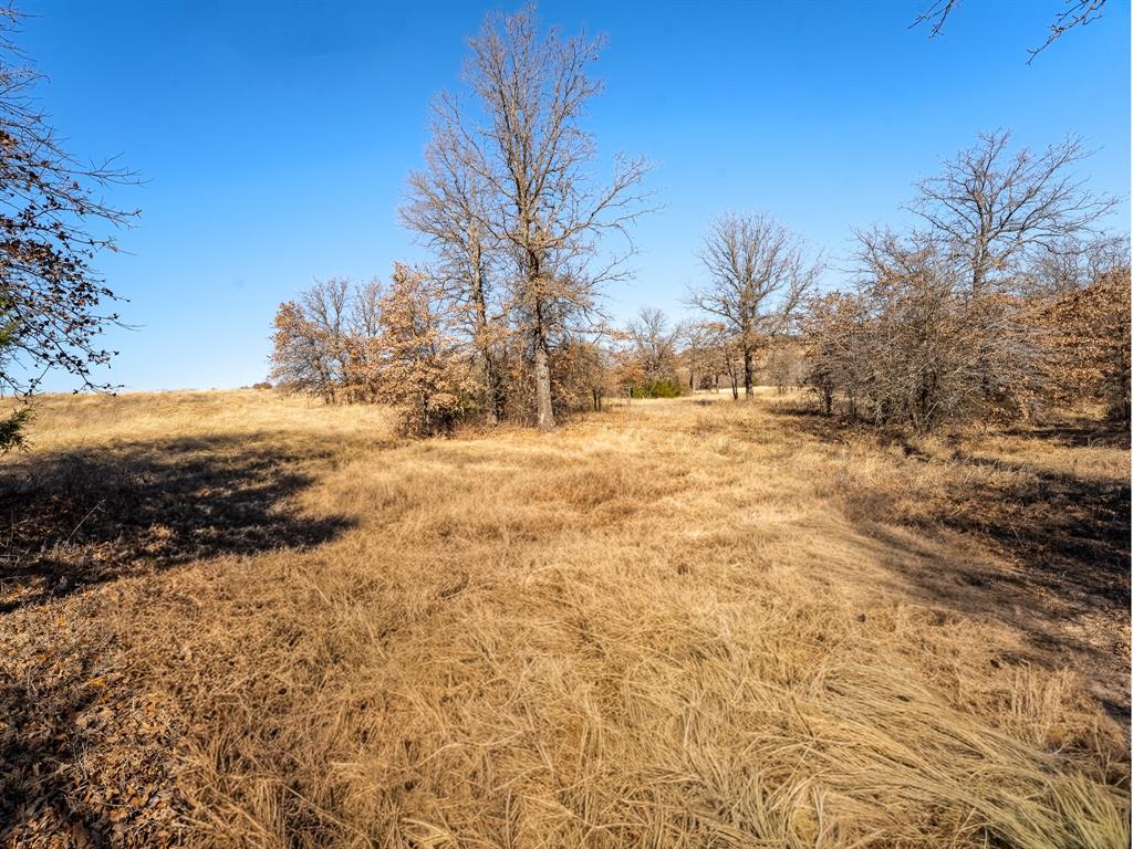 6 Lazy E Road St. Jo, TX 76265 - Photo 2 of 34 a view of dirt yard with a tree