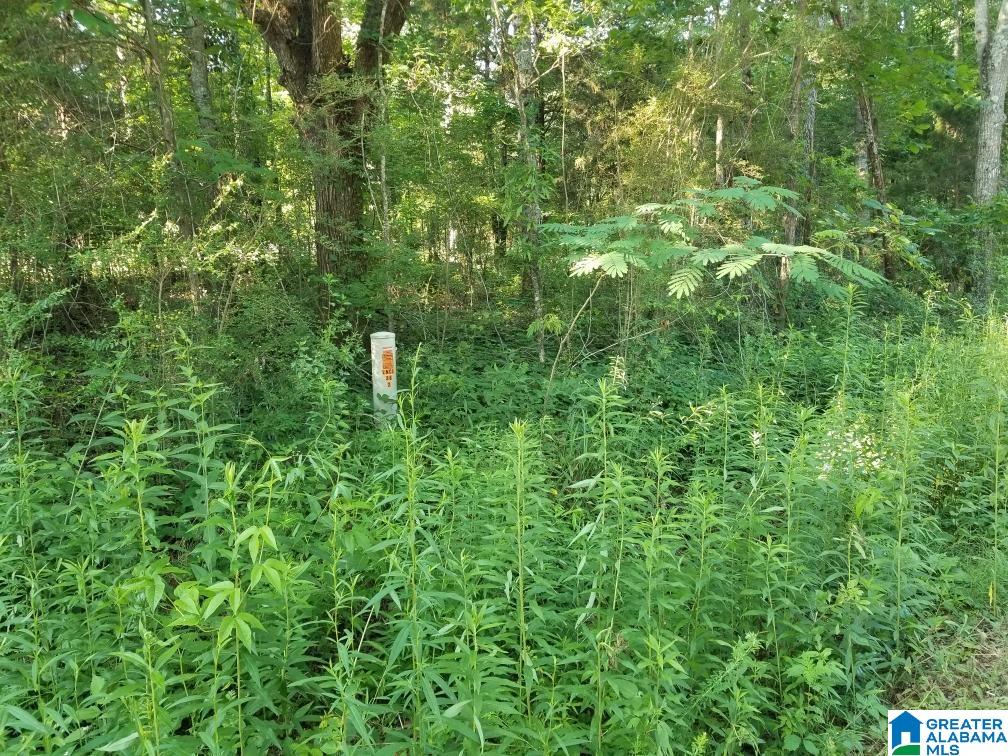 270 Oxford Road Lincoln, AL 35096 - Photo 3 of 21