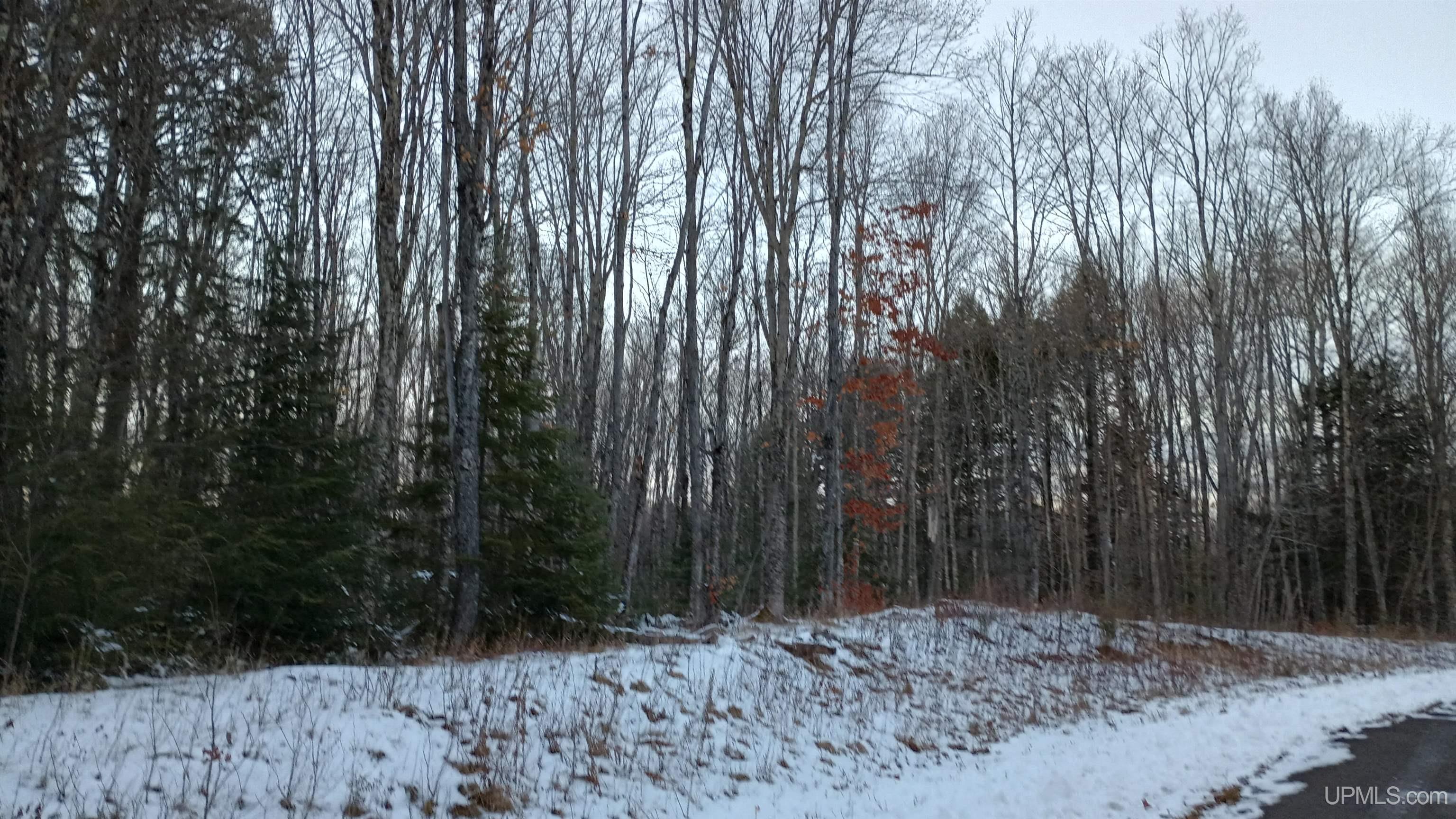 Lot 49 Hewitt Lane Mercer, WI 54547 - Photo 17 of 28 Gallery Image 17