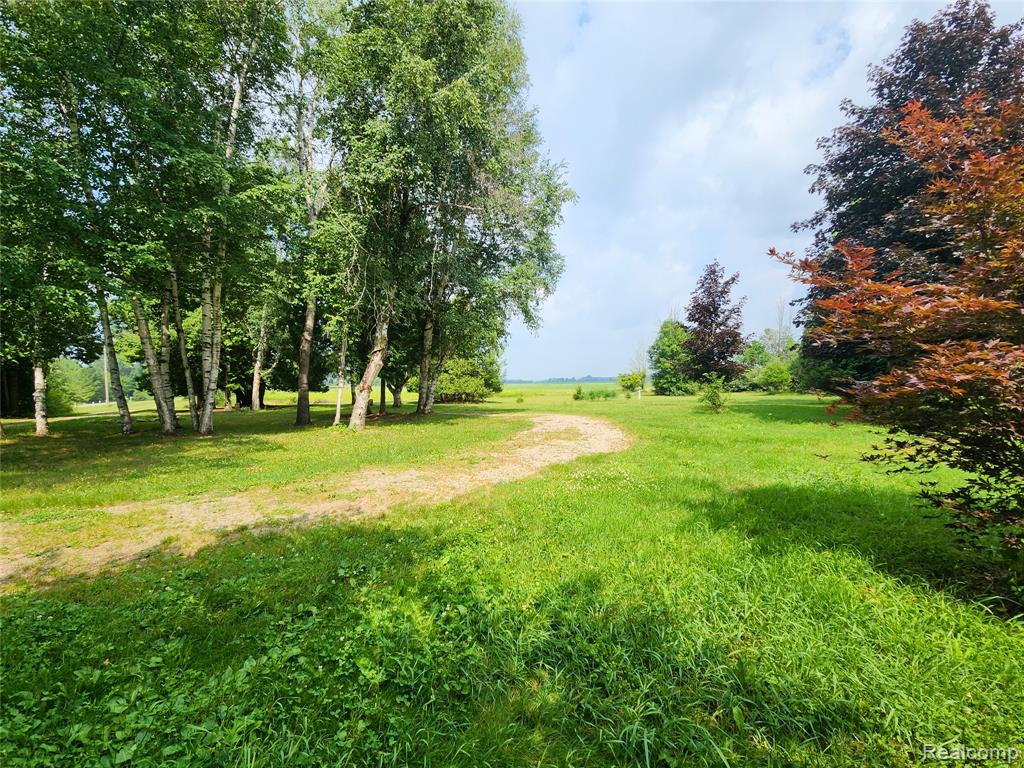 5665 White Creek Road Marlette, MI 48453 - Photo 33 of 42 Gallery Image 33