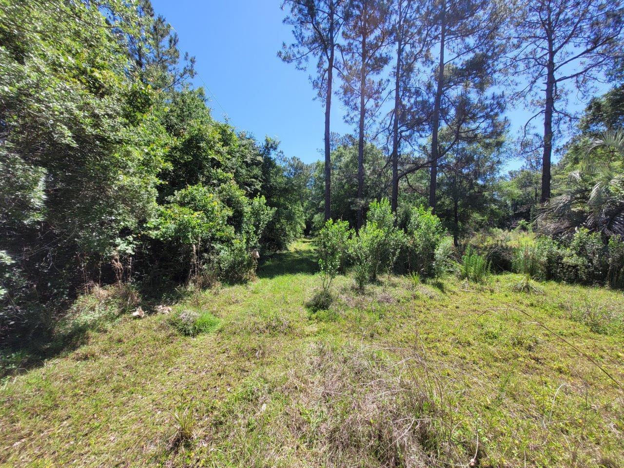 18894 Carter Road Jacksonville, FL 32234 - Photo 1 of 4 20210508_114130