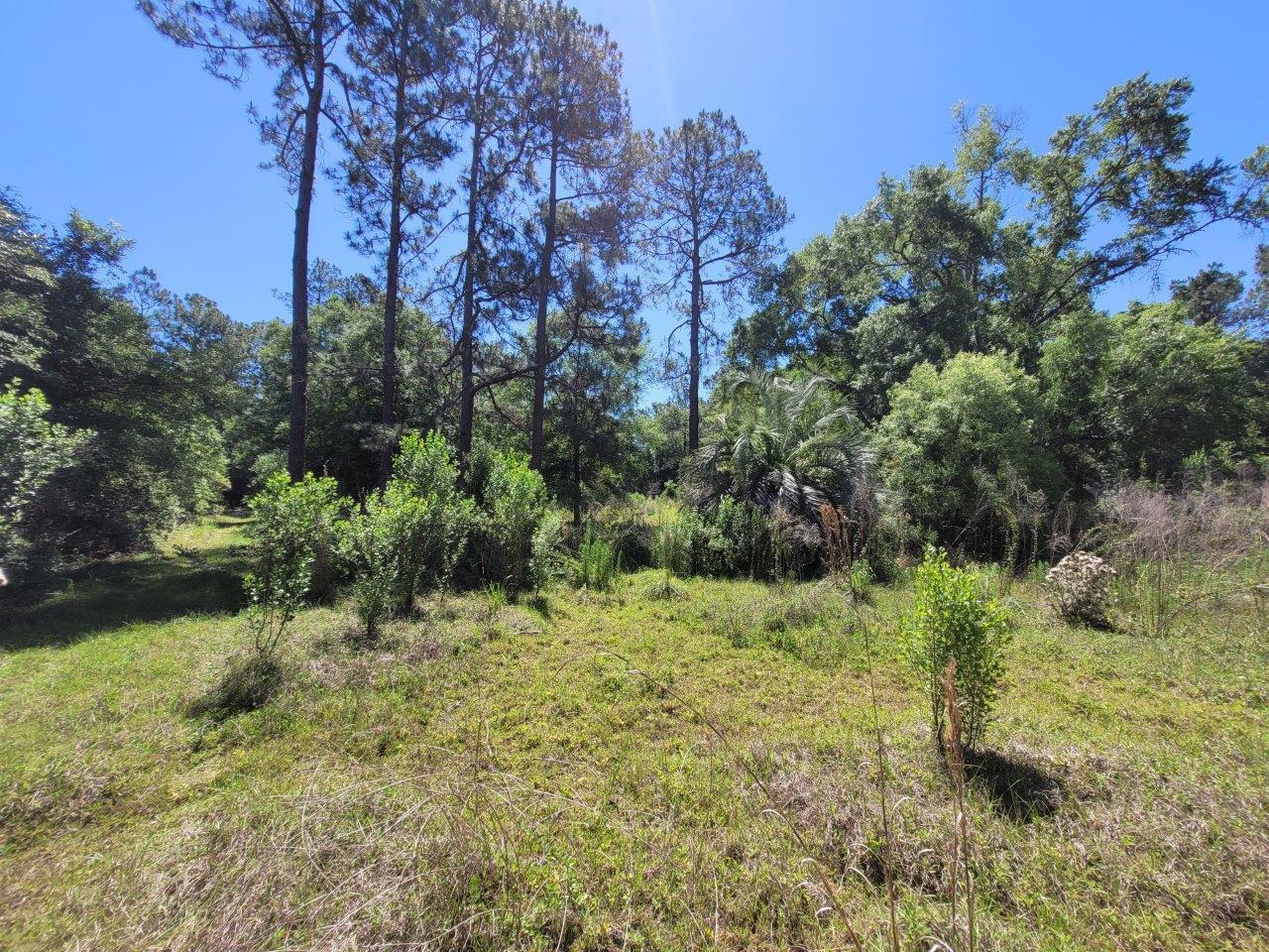 18894 Carter Road Jacksonville, FL 32234 - Photo 3 of 4 20210508_114128