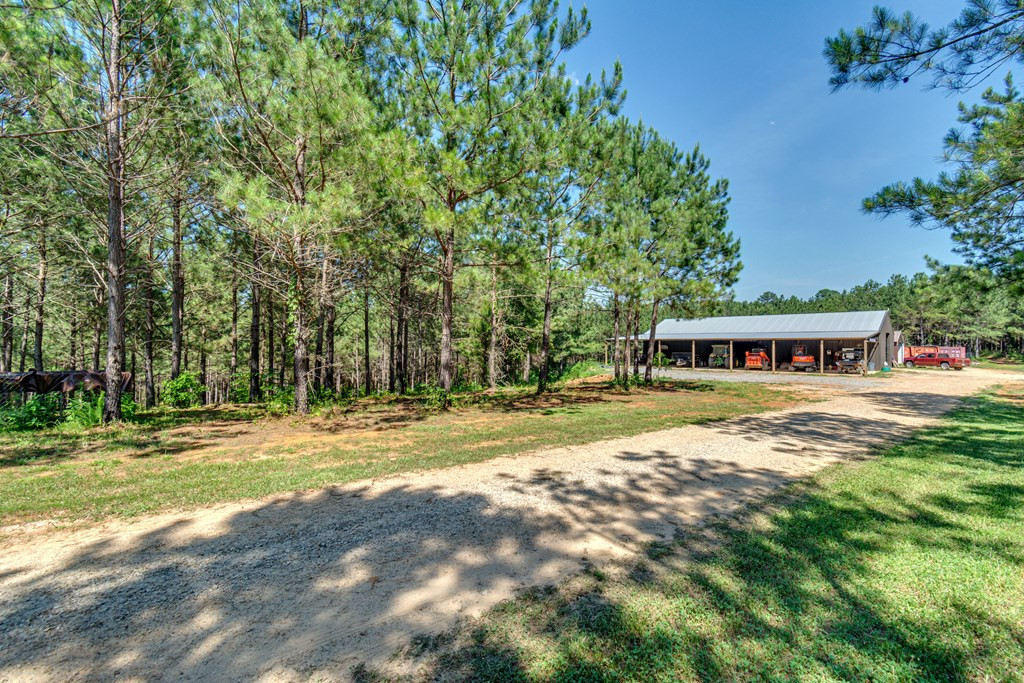 1216 County Pond Road Decatur, MS 39327 - Photo 47 of 87 Photo 48