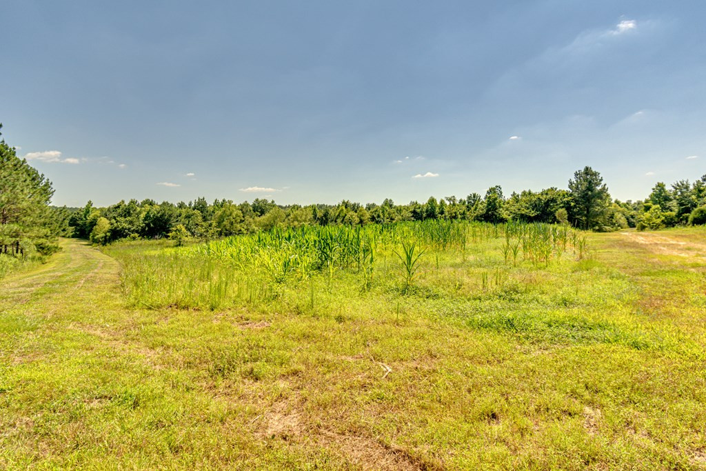 1216 County Pond Road Decatur, MS 39327 - Photo 52 of 87 Photo 53