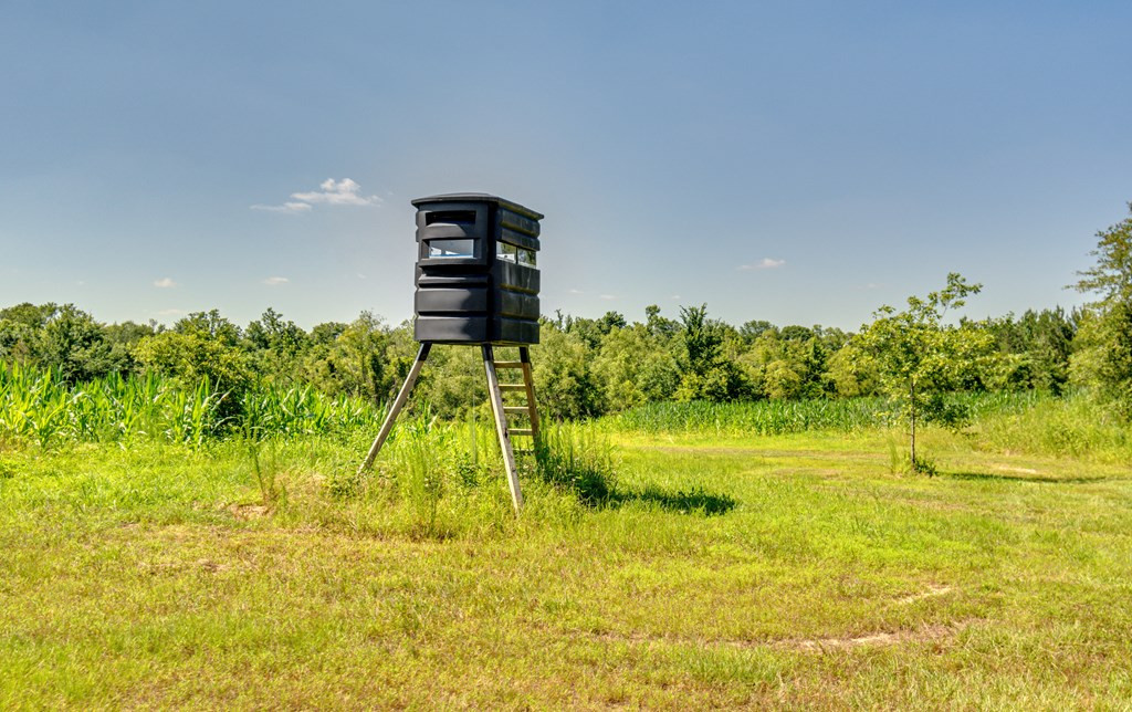 1216 County Pond Road Decatur, MS 39327 - Photo 53 of 87 Photo 54