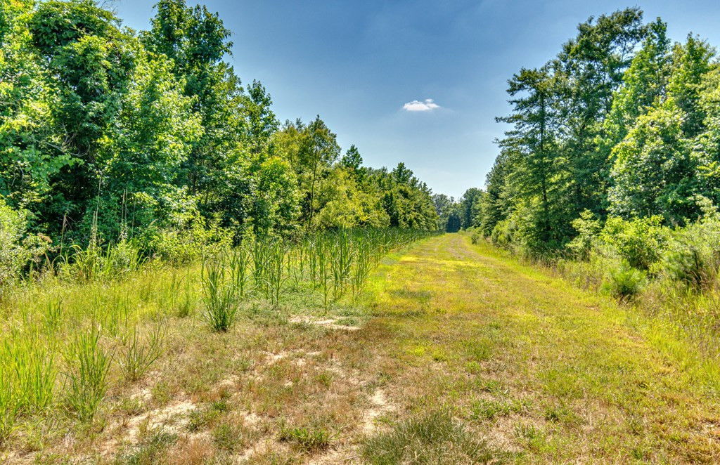 1216 County Pond Road Decatur, MS 39327 - Photo 54 of 87 Photo 55