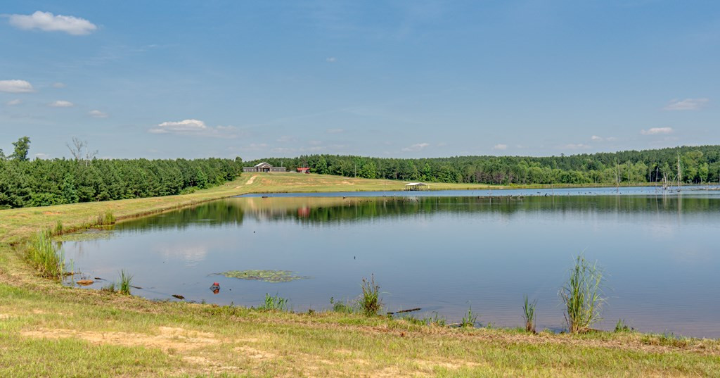 1216 County Pond Road Decatur, MS 39327 - Photo 55 of 87 Photo 56