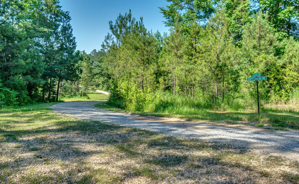 1216 County Pond Road Decatur, MS 39327 - Photo 67 of 87 Photo 68