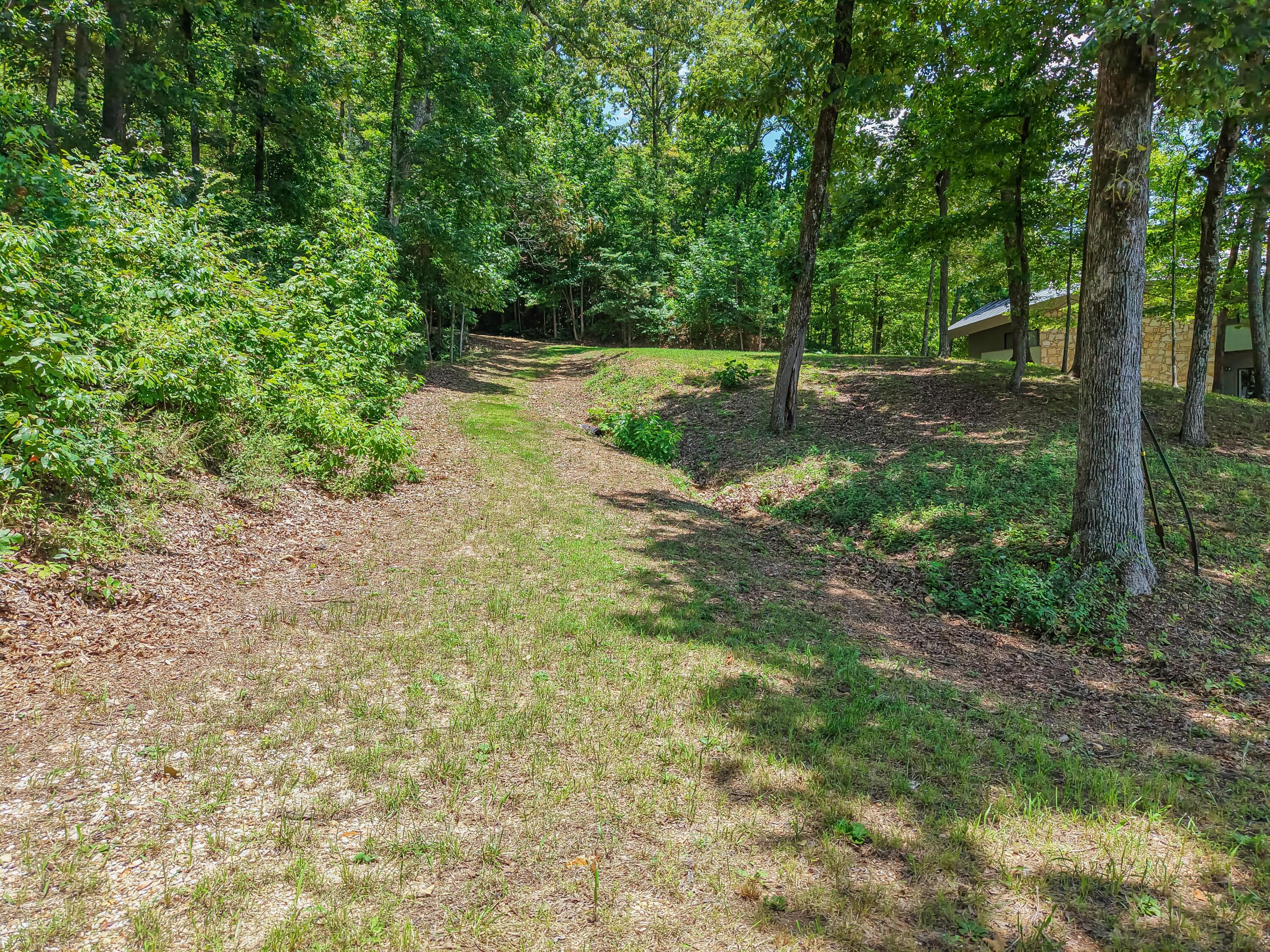 High Grove Road Iuka, MS 38852 - Photo 10 of 32 Gallery Image 10