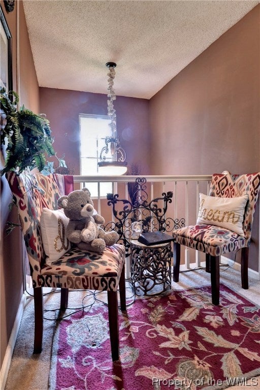 5900 Allegheny Road Williamsburg, VA 23188 - Photo 21 of 30 Gallery Image 21