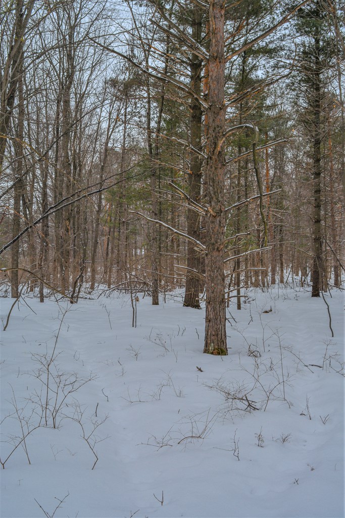 Lot 2 Daisy Patch Road Fish Creek, WI 54212 - Photo 12 of 14