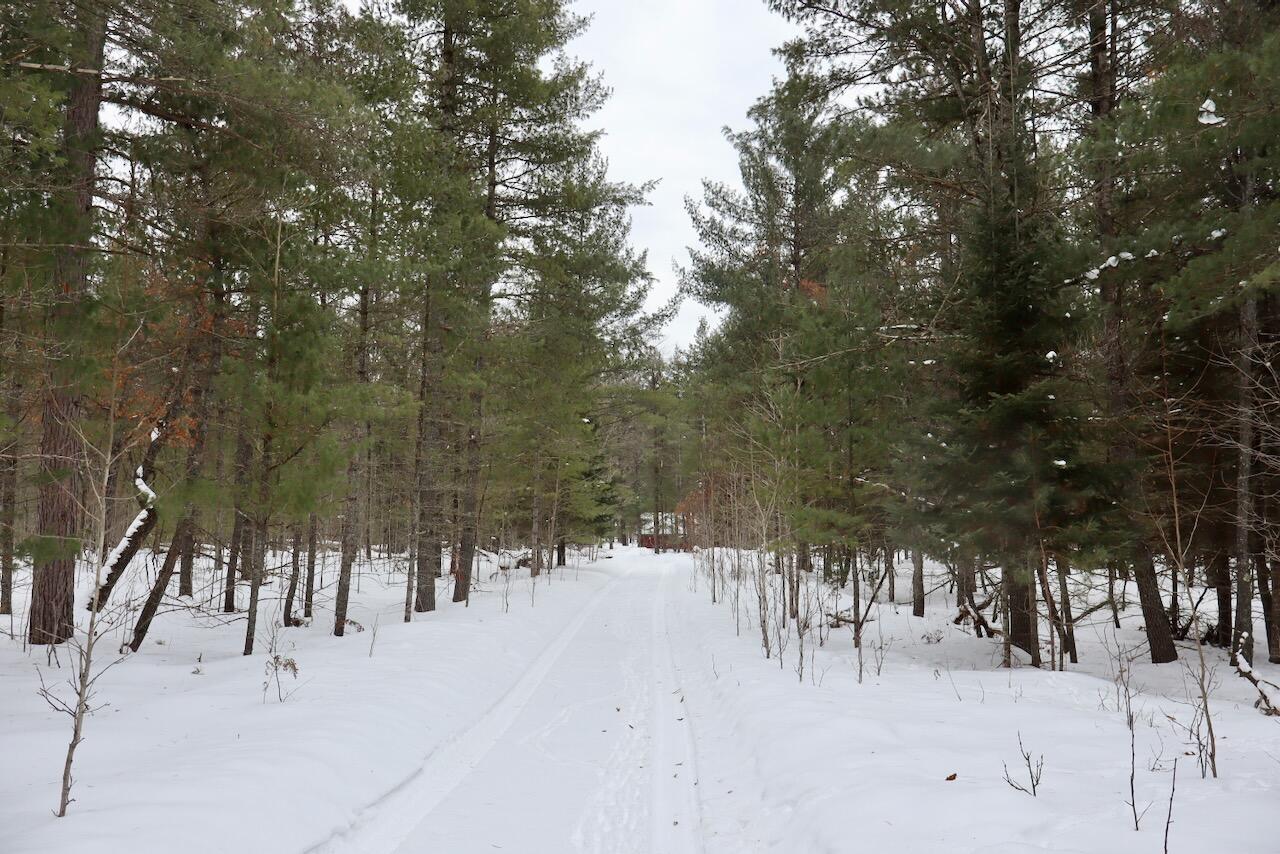 4440 West Cherry Creek Road Lewiston, MI 49756 - Photo 21 of 58 021