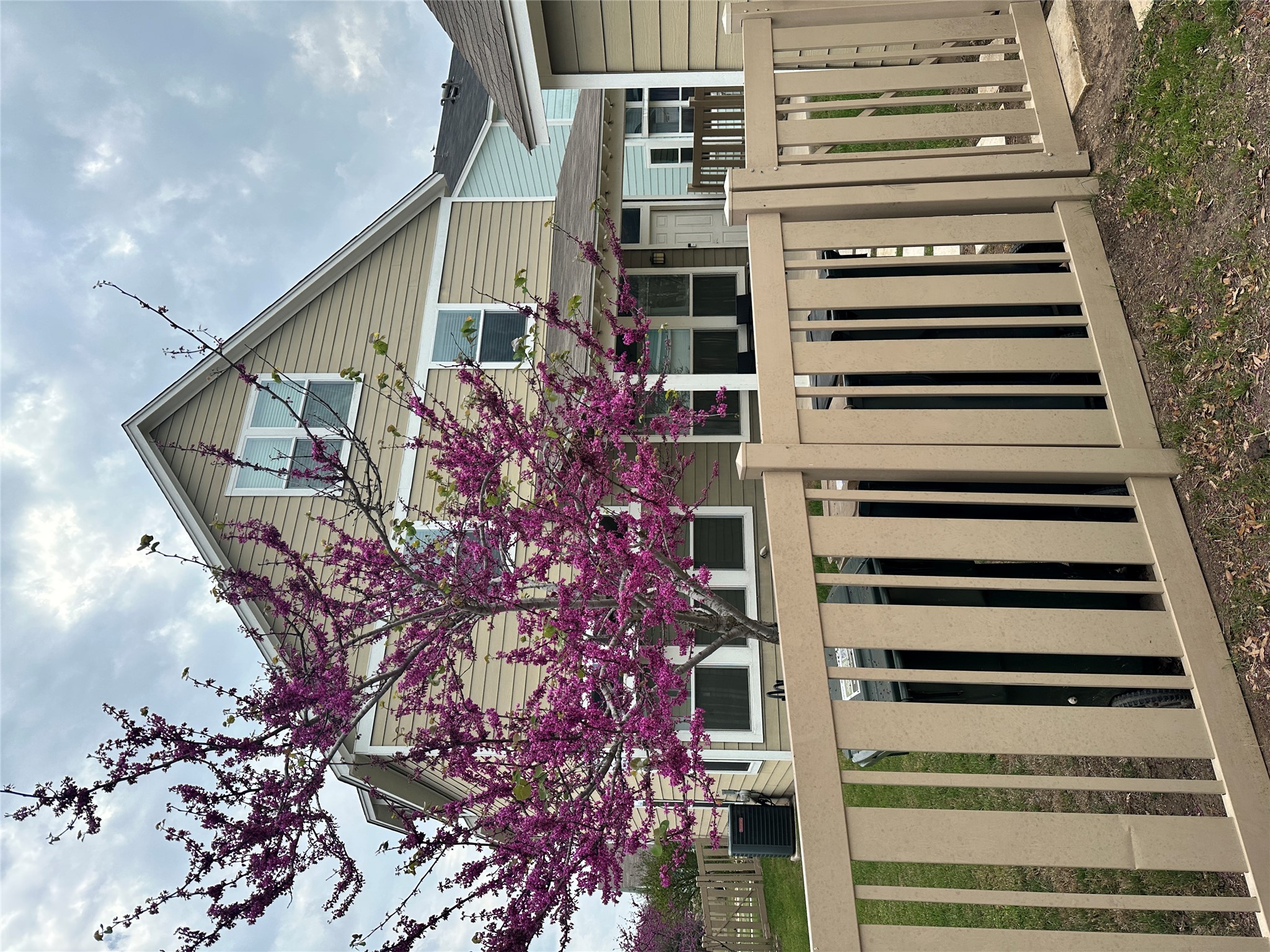 1269 Nevarez Kyle, TX 78640 - Photo 25 of 27 Backyard