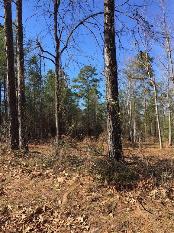 104 Buteos Way Anderson, SC 29621 - Photo 1 of 2