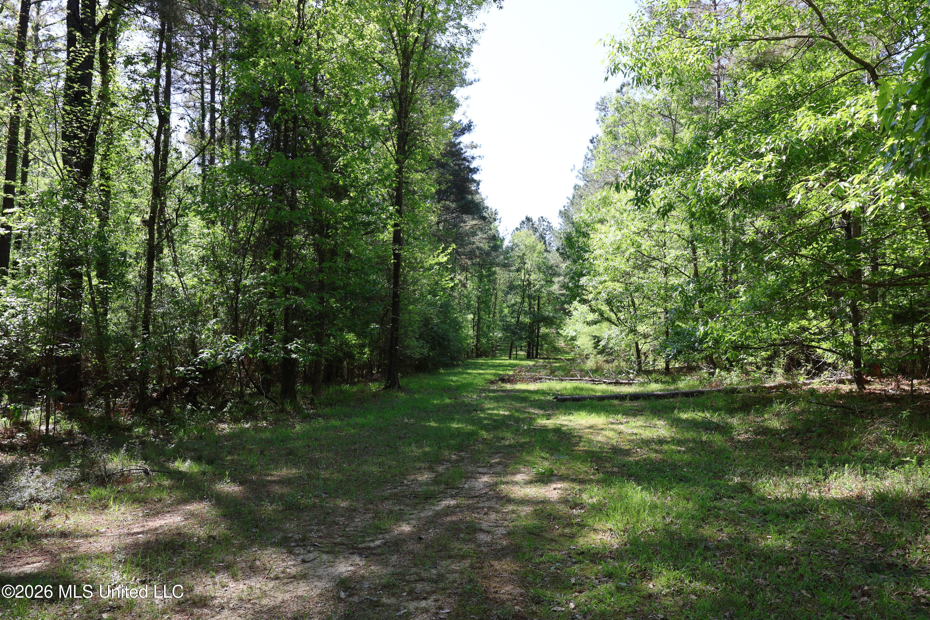 1060 Pearline Bailey Rd Port Port Gibson, MS 39150 - Photo 33 of 63 248C1A74-38D6-4BAA-A9BE-BD9090C1EE9D
