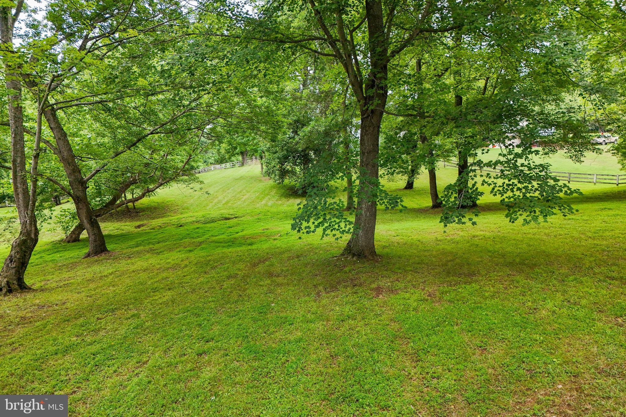 18189 Sands Road Purcellville, VA 20132 - Photo 143 of 145 4.6 wooded acres with room to roam. or build.