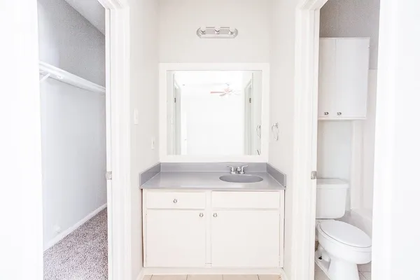 a bathroom with a sink toilet vanity and mirror