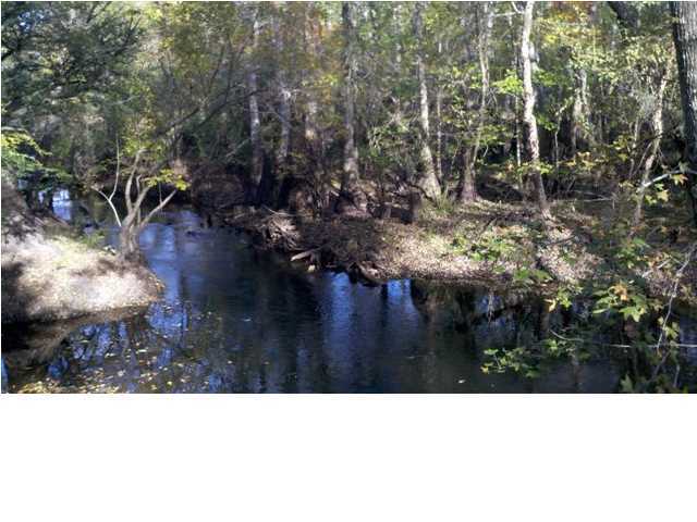808 Sand Drag Road Branchville, SC 29432 - Photo 2 of 4 Additional Photo