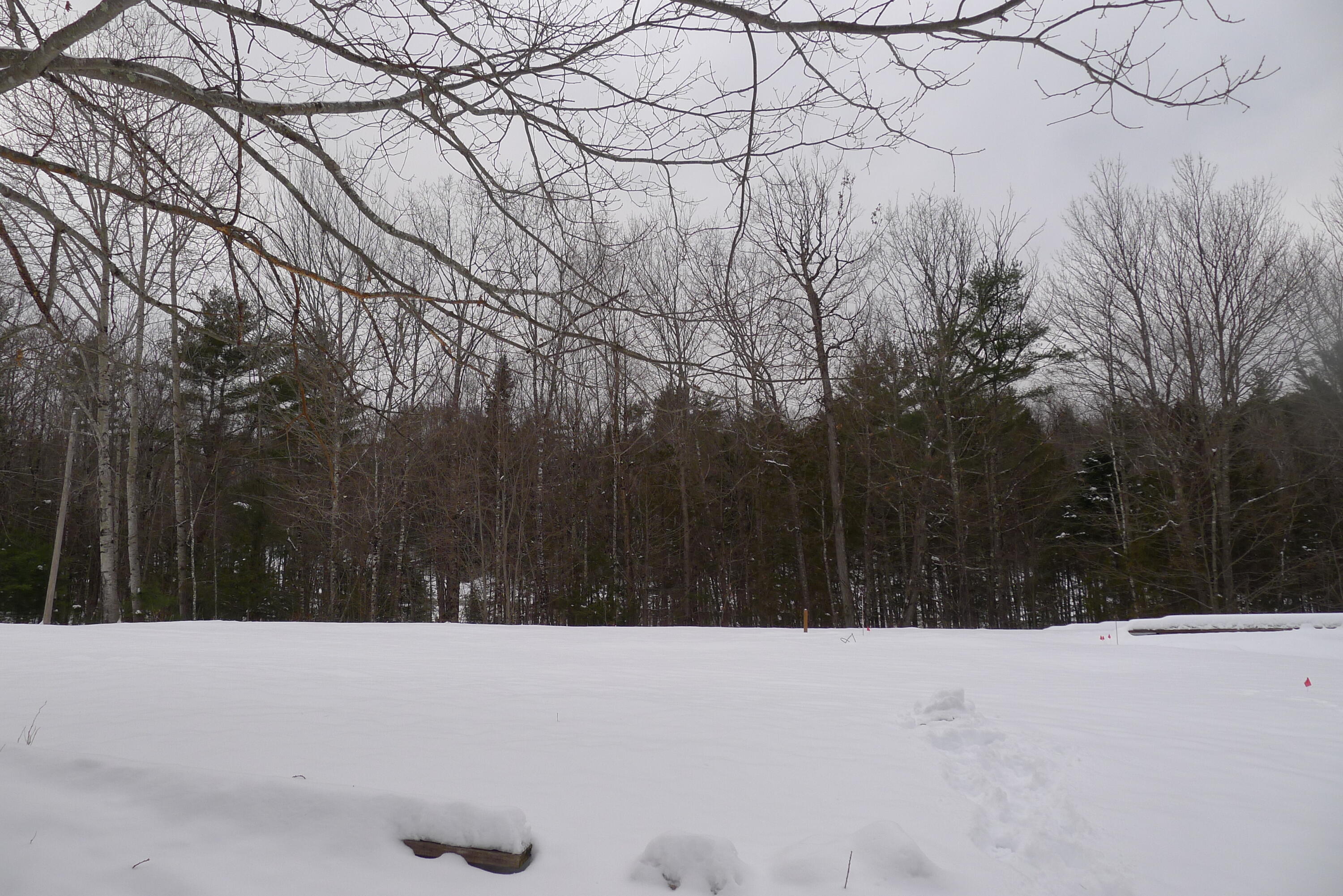 8 Stone Road Dixfield, ME 04224 - Photo 7 of 23 Recent Septic Inspection
