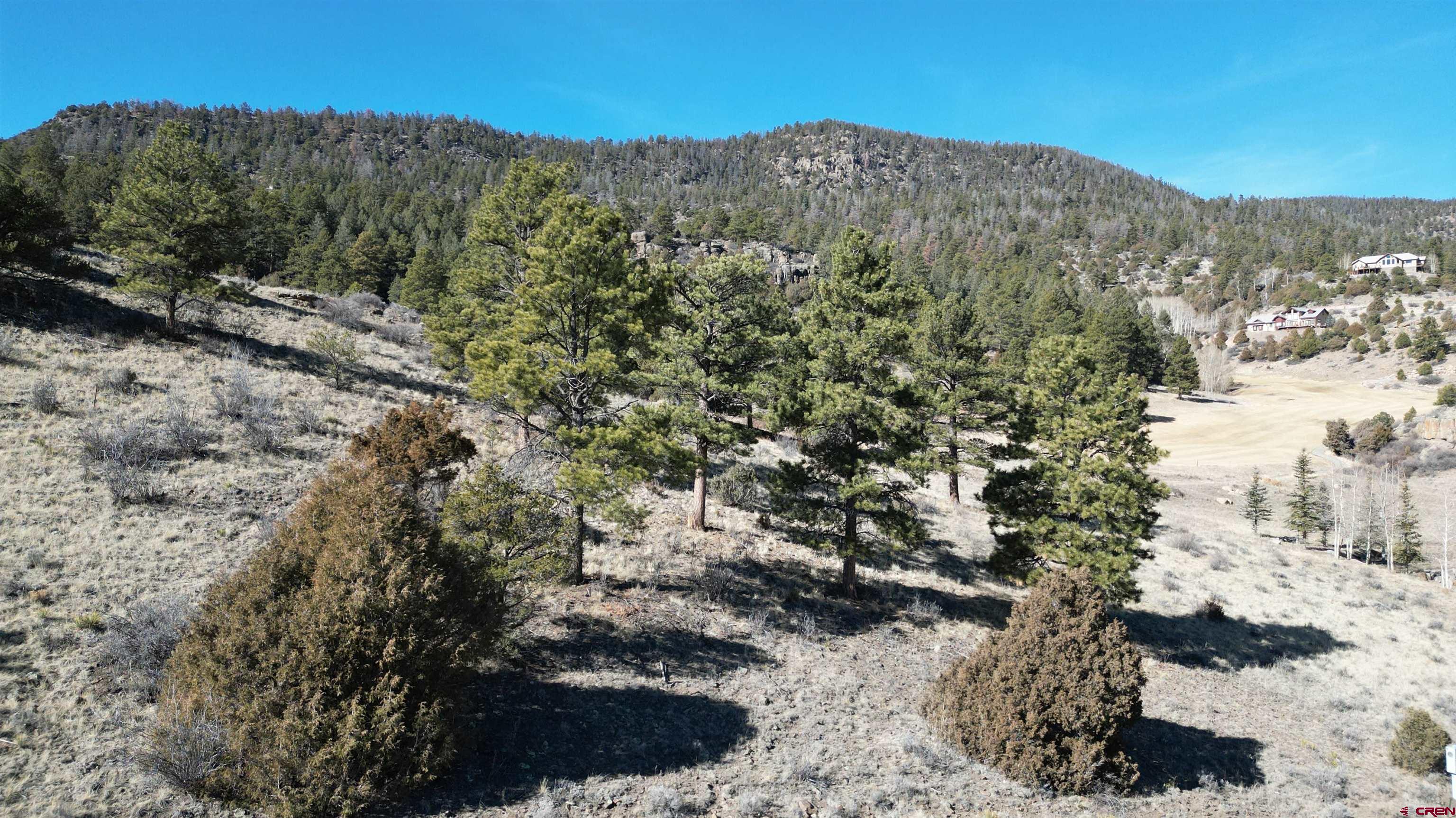 449 Rio Grande Club Trail South Fork, CO 81154 - Photo 11 of 11 a view of a large mountain with lots of trees