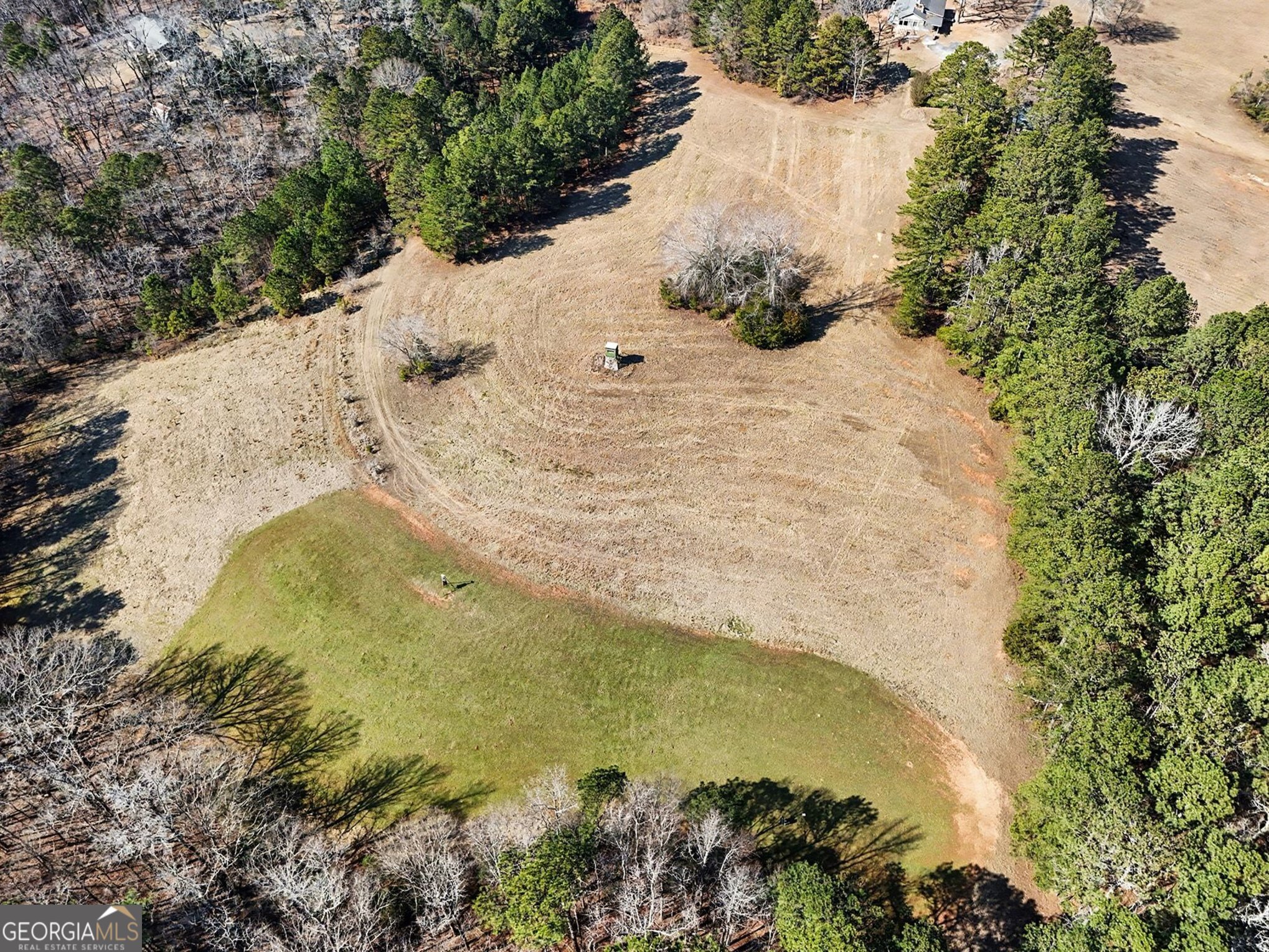 0 Vineyard Road Thomaston, GA 30286 - Photo 17 of 40