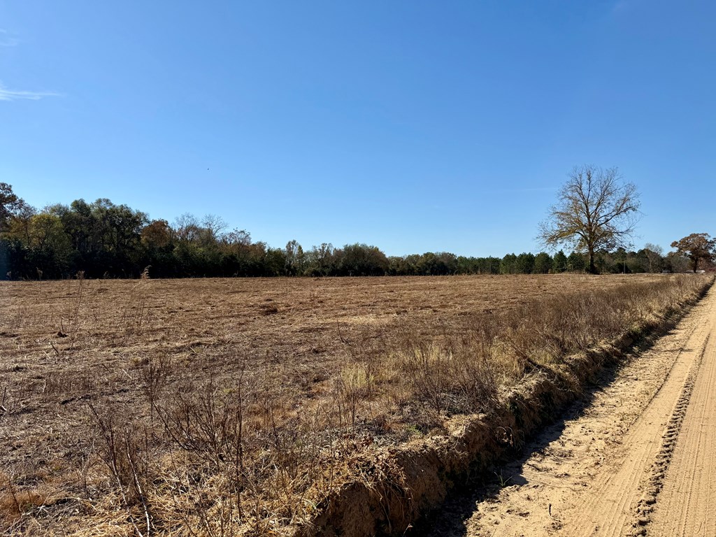 10.73-acres Huskey Road Dothan, AL 36303 - Photo 13 of 13