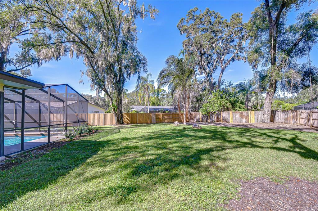 2102 Doefield Court Valrico, FL 33596 - Photo 30 of 36