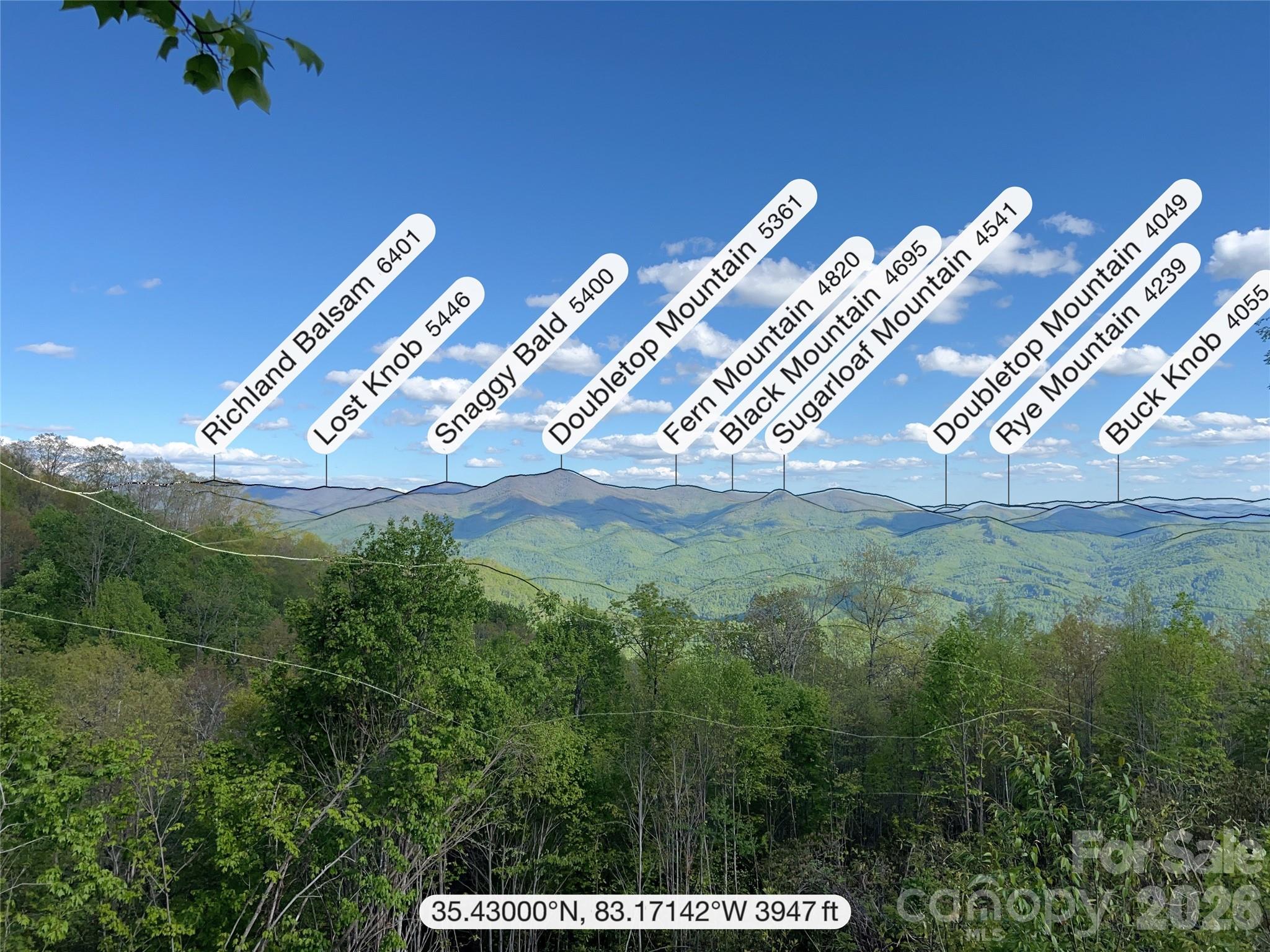 3409 Parris Branch Road Sylva, NC 28779 - Photo 15 of 19