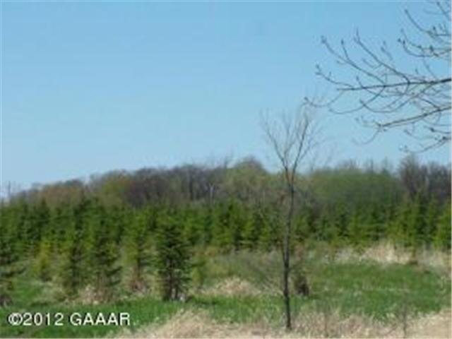 Lot 3 Genes Road Southeast Alexandria, MN 56308 - Photo 1 of 3 Gallery Image 1