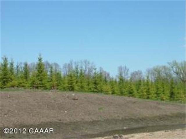 Lot 3 Genes Road Southeast Alexandria, MN 56308 - Photo 2 of 3 Gallery Image 2