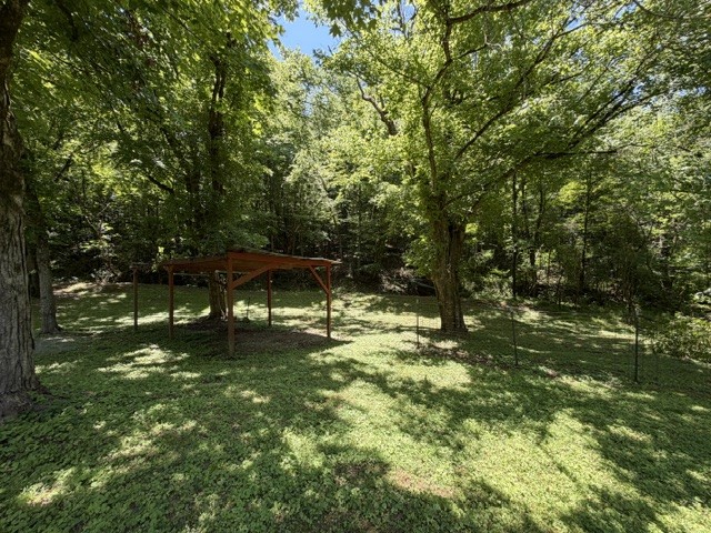 335 Lane Branch Road Fayetteville, TN 37334 - Photo 7 of 16