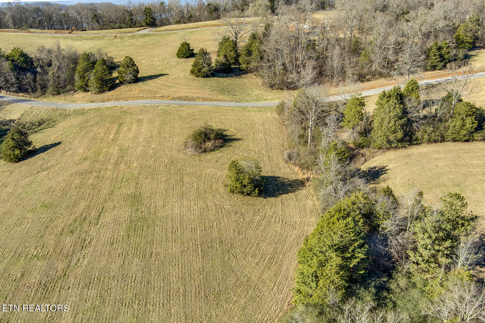 Goodfield Terrace Road Decatur, TN 37322 - Photo 7 of 18 07_GoodfieldTerraceRd_Lot24_LotBackEleva