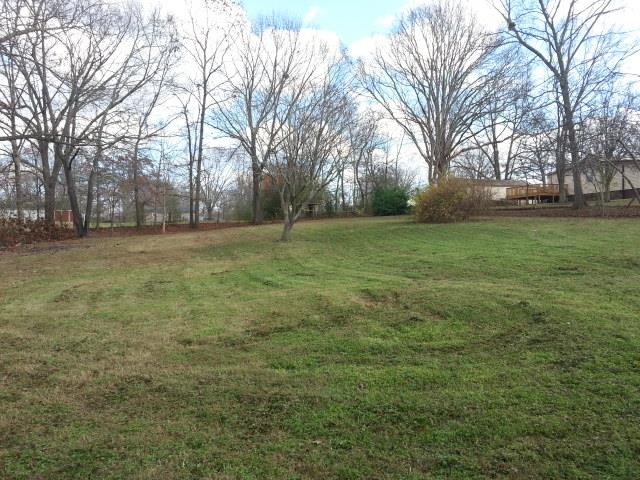 1149 Wakeman Road White Bluff, TN 37187 - Photo 11 of 14 large backyard